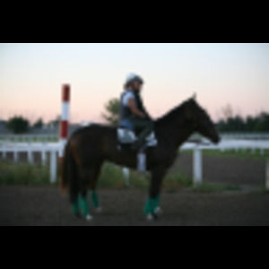 Meet your Posher, Danette